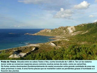 Praia do Trece. Situada entre os cabos Tosto e Veo, cunha lonxitude de 1.260 m. Ten un bo sistema
dunar onde se conservan especies pouco comúns noutras zonas da costa, como as camariñas.
Os fortes ventos dominantes (fundamentalmente do oeste) acumulan unha grande cantidade de area nas
abas próximas á costa. A area forma placas que se manteñen sobre as pendentes grazas á humidade e á
fixación das plantas.
 