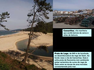 Camariñas, vila mariñeira
que acolle barcos do cerco e
artes de baixura.
Praia do Lago, de 640 m de lonxitude,
na desembocadura do rego de Ozón. Ao
fondo vese a vila de Camariñas. Esta é
unha praia de fisonomía moi cambiante
polas variacións do curso do rego de
Ozón entre as dunas de area movidas
constantemete polo mar.
 