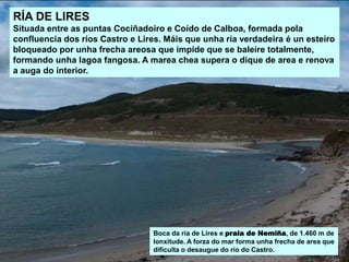 RÍA DE LIRES
Situada entre as puntas Cociñadoiro e Coído de Calboa, formada pola
confluencia dos ríos Castro e Lires. Máis que unha ría verdadeira é un esteiro
bloqueado por unha frecha areosa que impide que se baleire totalmente,
formando unha lagoa fangosa. A marea chea supera o dique de area e renova
a auga do interior.
Boca da ría de Lires e praia de Nemiña, de 1.460 m de
lonxitude. A forza do mar forma unha frecha de area que
dificulta o desaugue do río do Castro.
 