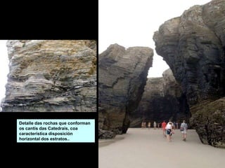 Detalle das rochas que conforman
os cantís das Catedrais, coa
característica disposición
horizontal dos estratos..
 