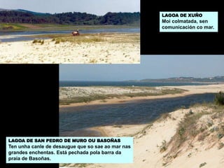 LAGOA DE XUÑO
Moi colmatada, sen
comunicación co mar.
LAGOA DE SAN PEDRO DE MURO OU BASOÑAS
Ten unha canle de desaugue que so sae ao mar nas
grandes enchentas. Está pechada pola barra da
praia de Basoñas.
 
