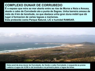 COMPLEXO DUNAR DE CORRUBEDO
É o espazo que mira ao mar aberto entre as rías de Muros e Noia e Arousa,
desde o cabo de Corrubedo ata a punta de Sagres. Unha barreira areosa de
máis de 4 km de lonxitude, na que destaca unha gran duna móbil que dá
lugar á formacion de varias lagoas e marismas.
Esta protexido como Parque Natural, LIC e humidal RAMSAR.
Vista xeral da área dunar de Corrubedo. Ao fondo o cabo Corrubedo, á esquerda as praias
Ladeira e Lagoa de 4.250 m de lonxitude e no primeiro plano a lagoa de Artes.
 