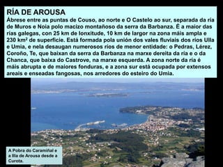 RÍA DE AROUSA
Ábrese entre as puntas de Couso, ao norte e O Castelo ao sur, separada da ría
de Muros e Noia polo macizo montañoso da serra da Barbanza. É a maior das
rías galegas, con 25 km de lonxitude, 10 km de largor na zona máis ampla e
230 km2 de superficie. Está formada pola unión dos vales fluviais dos ríos Ulla
e Umia, e nela desaugan numerosos ríos de menor entidade: o Pedras, Lérez,
Coroño, Te, que baixan da serra da Barbanza na marxe dereita da ría e o da
Chanca, que baixa do Castrove, na marxe esquerda. A zona norte da ría é
máis abrupta e de maiores fonduras, e a zona sur está ocupada por extensos
areais e enseadas fangosas, nos arredores do esteiro do Umia.
A Pobra do Caramiñal e
a Illa de Arousa desde a
Curota.
 