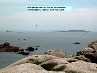 A boca norte da ría de Arousa ábrese entre a
punta Falcoeira, Sagres e a illa de Sálvora.
 