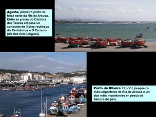 Porto de Ribeira. O porto pesqueiro
máis importante da Ría de Arousa e un
dos máis importantes en pesca de
baixura do país.
Aguiño, primeiro porto da
boca norte da Ría de Arousa.
Entre as praias do Castro e
das Tascas atópase un
conxunto de illotes rochosos
As Centoleiras e O Carreiro
(illa das Sete Línguas).
 
