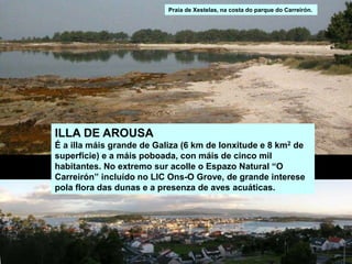 ILLA DE AROUSA
É a illa máis grande de Galiza (6 km de lonxitude e 8 km2 de
superficie) e a máis poboada, con máis de cinco mil
habitantes. No extremo sur acolle o Espazo Natural “O
Carreirón” incluído no LIC Ons-O Grove, de grande interese
pola flora das dunas e a presenza de aves acuáticas.
Praia de Xestelas, na costa do parque do Carreirón.
 