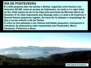 RÍA DE PONTEVEDRA
É a máis pequena das rías baixas e ábrese, seguindo unha fractura con
dirección SO-NE, entre as puntas de Cabicastro, ao norte e o o cabo Udra,
ao Sur. Está separa da da ría de Vigo pola península do Morrazo (Serra de
Domaio). O río máis importante que desauga nela o o Lérez e do Castrove e
Domaio baixan pequenos regatos. Na boca da ría atópase o arquipélago de
Ons e no seu interior a illa de Tambo.
É unha ría moi poboada e con intensa actividade pesqueira, marisqueira e
industrial. As poboacións máis importantes son Pontevedra, Marín,
Sanxenxo, Portonovo e Bueu.
Vista desde O Castrove.
 