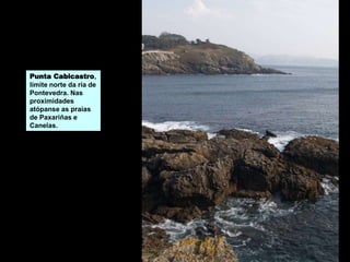 Punta Cabicastro,
límite norte da ría de
Pontevedra. Nas
proximidades
atópanse as praias
de Paxariñas e
Canelas.
 