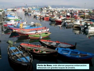Porto de Bueu, onde alternan pequenas embarcacións
artesanais con grandes buques de arrastre.
 