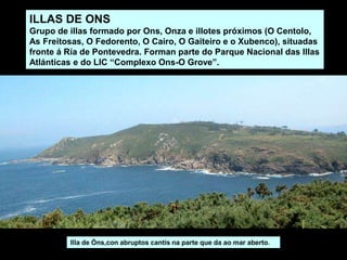 ILLAS DE ONS
Grupo de illas formado por Ons, Onza e illotes próximos (O Centolo,
As Freitosas, O Fedorento, O Cairo, O Gaiteiro e o Xubenco), situadas
fronte á Ría de Pontevedra. Forman parte do Parque Nacional das Illas
Atlánticas e do LIC “Complexo Ons-O Grove”.
Illa de Óns,con abruptos cantís na parte que da ao mar aberto.
 