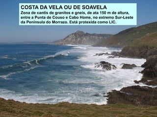 COSTA DA VELA OU DE SOAVELA
Zona de cantís de granitos e gneis, de ata 150 m de altura,
entre a Punta de Couso e Cabo Home, no extremo Sur-Leste
da Península do Morrazo. Está protexida como LIC.
 