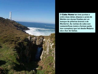 O Cabo Home ten tres puntas e
entre dúas delas atópase a praia de
Melide con dunas fixadas por un
bosque de piñeiros bravos e de
Monterrei. As rochas do cabo son
metamórficas (neis) e forman parte
dun complexo que vai desde Malpica
ata o Sur de Galiza.
 