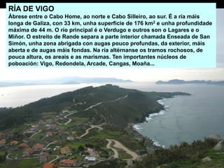 RÍA DE VIGO
Ábrese entre o Cabo Home, ao norte e Cabo Silleiro, ao sur. É a ría máis
longa de Galiza, con 33 km, unha superficie de 176 km2 e unha profundidade
máxima de 44 m. O río principal é o Verdugo e outros son o Lagares e o
Miñor. O estreito de Rande separa a parte interior chamada Enseada de San
Simón, unha zona abrigada con augas pouco profundas, da exterior, máis
aberta e de augas máis fondas. Na ría altérnanse os tramos rochosos, de
pouca altura, os areais e as marismas. Ten importantes núcleos de
poboación: Vigo, Redondela, Arcade, Cangas, Moaña...
 