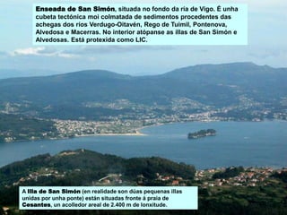 Enseada de San Simón, situada no fondo da ría de Vigo. É unha
cubeta tectónica moi colmatada de sedimentos procedentes das
achegas dos ríos Verdugo-Oitavén, Rego de Tuimil, Pontenova,
Alvedosa e Macerras. No interior atópanse as illas de San Simón e
Alvedosas. Está protexida como LIC.
A Illa de San Simón (en realidade son dúas pequenas illas
unidas por unha ponte) están situadas fronte á praia de
Cesantes, un acolledor areal de 2.400 m de lonxitude.
 