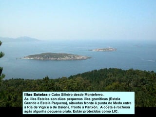 Illas Estelas e Cabo Silleiro desde Monteferro.
As illas Estelas son dúas pequenas illas graníticas (Estela
Grande e Estela Pequena), situadas fronte á punta de Meda entre
a Ría de Vigo e a de Baiona, fronte a Panxón. A costa é rochosa
agás algunha pequena praia. Están protexidas como LIC.
 