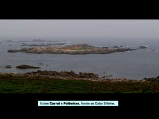 Illotes Carral e Polbeiras, fronte ao Cabo Silleiro.
 
