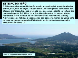 ESTEIRO DO MIÑO
O Miño desemboca no Atlántico formando un esteiro de 8 km de lonxitude e
entre 0,5 e 1,8 km de largor, situado sobre unha antiga falla flanqueada por
bloques graníticos. É pouco profundo e con escasa pendente e o influxo das
mareas chega ata Tui, 30 km río arriba. Os sedimentos do esteiro forman
numerosas illas e bancos de area que afloran na marea baixa (ariños).
A diversidade de hábitats e ecosistemas ben conservados fan do Baixo Miño
un lugar de grande riqueza biolóxica tanto no río como na zona costeira.
Está protexido como LIC.
Vista do esteiro do Miño desde O Rosal.
 
