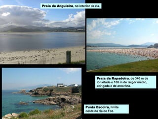 Praia de Anguieira, no interior da ría.
Praia da Rapadoira, de 340 m de
lonxitude e 100 m de largor medio,
abrigada e de area fina.
Punta Escoira, límite
oeste da ría de Foz.
 