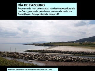 RÍA DE FAZOURO
Pequena ría moi colmatada, na desembocadura do
río Ouro, pechada pola barra areosa da praia da
Pampillosa. Está protexida como LIC
Praia da Pampillosa e desembocadura do río Ouro.
 