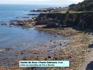 Cantís de Arca e Punta Cabrouro, linde
entre os concellos de Foz e Burela.
 