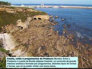 Cantís, coído e pregamentos do Predouro (Burela). Entre o
Predouro e o porto de Burela atópase Castrelo, un conxunto de grande
interese xeolóxico formado por pregamentos, distintos tipos de rochas
e furnas, que so se poden visitar coa marea baixa.
 