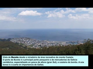 Vista de Burela desde o miradoiro da área recreativa do monte Castelo.
O porto de Burela é o principal porto pesqueiro e de mercadorías da Galicia
cantábrica, especializado en pesca de altura (gran Sol), e costeira do bonito. A súa
lonxa é a cuarta en importancia de Galiza.
 