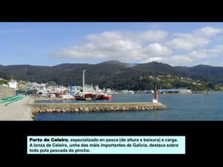 Porto de Celeiro, especializado en pesca (de altura e baixura) e carga.
A lonxa de Celeiro, unha das máis importantes de Galicia, destaca sobre
todo pola pescada do pincho.
 
