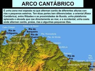 É unha zona moi exposta na que alternan cantís de diferentes alturas con
rías e pequenos esteiros. Ten dúas partes ben diferenciadas: a oriental (Rasa
Cantábrica), entre Ribadeo e as proximidades de Burela, unha plataforma
aplanada e elevada que cae directamente ao mar, e a occidental, unha costa
onde alternan cantís, praias, rías e algunhas pequenas illas.
ARCO CANTÁBRICO
 