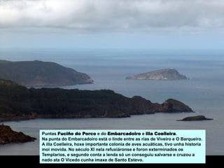 Puntas Fuciño do Porco e do Embarcadoiro e illa Coelleira.
Na punta do Embarcadoiro está o linde entre as rías de Viveiro e O Barqueiro.
A illa Coelleira, hoxe importante colonia de aves acuáticas, tivo unha historia
moi movida. No século XI nela refuxiáronse e foron exterminados os
Templarios, e segundo conta a lenda só un conseguiu salvarse e cruzou a
nado ata O Vicedo cunha imaxe de Santo Estevo.
 