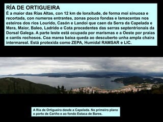RÍA DE ORTIGUEIRA
É a maior das Rías Altas, con 12 km de lonxitude, de forma moi sinuosa e
recortada, con numeros entrantes, zonas pouco fondas e lamacentas nos
esteiros dos ríos Lourido, Casón e Landoi que caen da Serra da Capelada e
Mera, Maior, Baleo, Ladrido e Cota procedentes das serras septentrionais da
Dorsal Galega. A parte leste está ocupada por marismas e a Oeste por praias
e cantís rochosos. Coa marea baixa queda ao descuberto unha ampla chaira
intermareal. Está protexida como ZEPA, Humidal RAMSAR e LIC.
A Ría de Ortigueira desde a Capelada. No primeiro plano
o porto de Cariño e ao fondo Estaca de Bares.
 