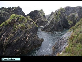 Punta Herbosa
 