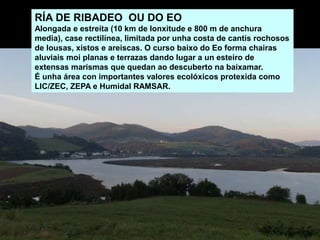 RÍA DE RIBADEO OU DO EO
Alongada e estreita (10 km de lonxitude e 800 m de anchura
media), case rectilínea, limitada por unha costa de cantís rochosos
de lousas, xistos e areiscas. O curso baixo do Eo forma chairas
aluviais moi planas e terrazas dando lugar a un esteiro de
extensas marismas que quedan ao descuberto na baixamar.
É unha área con importantes valores ecolóxicos protexida como
LIC/ZEC, ZEPA e Humidal RAMSAR.
 