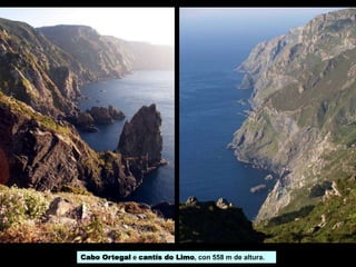 Cabo Ortegal e cantís do Limo, con 558 m de altura.
 
