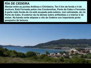 RÍA DE CEDEIRA
Ábrese entre as puntas Ardilosa e Chirlateira. Ten 5 km de fondo e 4 de
anchura. Está Formada polos ríos Condomiñas, Porto do Cabo e Forcadas.
A parte máis fonda da ría está ocupada polo esteiro, moi colmatado, do río
Porto do Cabo. O exterior da ría ábrese sobre anfibolitas e o interior é de
xistos. Na banda norte atópase a vila de Cedeira cun importante porto
pesqueiro de baixura.
 
