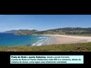 Praia do Rodo e punta Gabeiras, desde a punta Corveira.
A praia do Rodo en Pantín (Valdoviño) mide 950 m e conserva, detrás do
sistema de dunas, unha lagoa case totalmente colmatada.
 