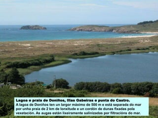 Lagoa e praia de Doniños, Illas Gabeiras e punta do Castro.
A lagoa de Doniños ten un largor máximo de 500 m e está separada do mar
por unha praia de 2 km de lonxitude e un cordón de dunas fixadas pola
vexetación. As augas están lixeiramente salinizadas por filtracións do mar.
 