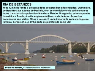 RÍA DE BETANZOS
Mide 12 km de fondo e presenta dous sectores ben diferenciados. O primeiro,
de Betanzos ata a ponte do Pedrido, é un esteiro típico onde sedimentan os
lodos transportados polos ríos Mandeo e Mendo. O segundo, entre as puntas
Lavadoira e Torella, é máis amplo e conflúe coa ría de Ares. As rochas
dominantes son xistos, filitas e lousas. É unha importante zona marisqueira
(ameixa, berberecho...). Unha parte está protexida como LIC.
Ponte do Pedrido, na desembocadura do Mandeo.
 