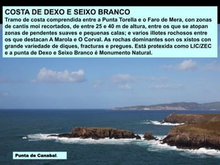 COSTA DE DEXO E SEIXO BRANCO
Tramo de costa comprendida entre a Punta Torella e o Faro de Mera, con zonas
de cantís moi recortados, de entre 25 e 40 m de altura, entre os que se atopan
zonas de pendentes suaves e pequenas calas; e varios illotes rochosos entre
os que destacan A Marola e O Corval. As rochas dominantes son os xistos con
grande variedade de diques, fracturas e pregues. Está protexida como LIC/ZEC
e a punta de Dexo e Seixo Branco é Monumento Natural.
Punta de Canabal.
 