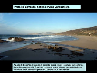 Praia de Barrañán, Sabón e Punta Langosteira.
A praia de Barrañán é un grande areal de case 2 km de lonxitude cun sistema
dunar ben conservado. Forma un conxunto, separado por pequenos saíntes
rochosos, coas pequenas praias de Cambouzas e Santa Irene.
 