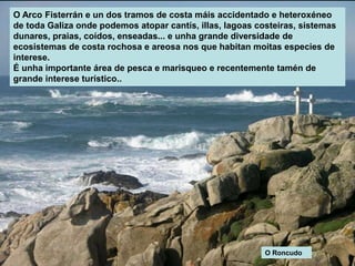 O Arco Fisterrán e un dos tramos de costa máis accidentado e heteroxéneo
de toda Galiza onde podemos atopar cantís, illas, lagoas costeiras, sistemas
dunares, praias, coídos, enseadas... e unha grande diversidade de
ecosistemas de costa rochosa e areosa nos que habitan moitas especies de
interese.
É unha importante área de pesca e marisqueo e recentemente tamén de
grande interese turístico..
O Roncudo
 