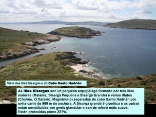 Vista das Illas Sisargas e do Cabo Santo Hadrián.
As Illas Sisargas son un pequeno arquipélago formado por tres illas
maiores (Malante, Sisarga Pequena e Sisarga Grande) e varios illotes
(Chalreu, O Xaceiro, Magnánimo) separadas do cabo Santo Hadrián por
unha canle de 900 m de anchura. A Sisarga grande é granítica e as outras
están constituídas por gneis glandular e son de relevo máis suave.
Están protexidas como ZEPA.
 