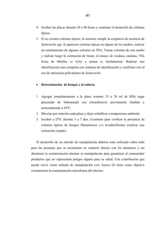 41
4. Incubar las placas durante 24 a 48 horas y examinar el desarrollo de colonias
típicas.
5. Si no existen colonias típicas, la muestra cumple la exigencia de ausencia de
Salmonella spp. Si aparecen colonias típicas en alguno de los medios, realizar
un reaislamiento de algunas colonias en TSA. Tomar colonias de este medio
y realizar luego la coloración de Gram, el ensayo de oxidasa, catalasa, TSI,
lisina de Möeller (o LIA) y ureasa (o fenilalanina). Realizar una
identificación mas completa con sistemas de identificación y confirmar con el
uso de antisueros polivalentes de Salmonella.
• Determinación de hongos y levaduras
1. Agregar inmediatamente a la placa restante 15 a 20 ml de SDA (agar
glucosado de Sabouraud) con cloranfenicol, previamente fundido y
termostatizado a 45ºC.
2. Mezclar por rotación cada placa y dejar solidificar a temperatura ambiente.
3. Incubar a 25ºC durante 5 a 7 días. Examinar para verificar la presencia de
colonias típicas de hongos filamentosos y/o levaduriformes (realizar una
coloración simple).
El desarrollo de un método de manipulación debería estar enfocado sobro todo
para las personas que se encuentran en contacto directo con los alimentos y así
disminuir la contaminación durante su manipulación para garantizar al consumidor
productos que no representen peligro alguno para su salud. Una contribución que
puede servir como método de manipulación (ver Anexo G) tiene como objetivo
contrarrestar la contaminación microbiana del chorizo.
 