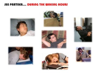 SEE PARTNER… DURING THE WAKING HOURS
 