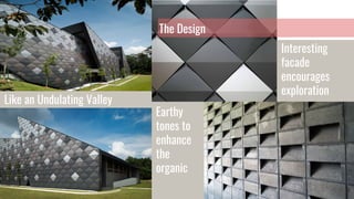 The Design
Like an Undulating Valley
Interesting
facade
encourages
exploration
Earthy
tones to
enhance
the
organic
 