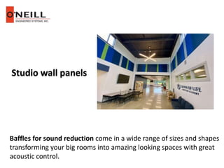 Studio wall panels
Baffles for sound reduction come in a wide range of sizes and shapes
transforming your big rooms into amazing looking spaces with great
acoustic control.
 