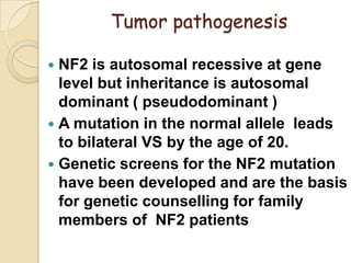 Tumor pathogenesis
 NF2 is autosomal recessive at gene
level but inheritance is autosomal
dominant ( pseudodominant )
 A mutation in the normal allele leads
to bilateral VS by the age of 20.
 Genetic screens for the NF2 mutation
have been developed and are the basis
for genetic counselling for family
members of NF2 patients
 