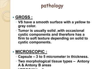 pathology
 GROSS :
◦ VS have a smooth surface with a yellow to
gray color.
◦ Tumor is usually solid ,with occasional
cystic components and therefore has a
firm to soft texture depending on solid to
cystic components.
 MICROSCOPIC :
◦ Capsule – 3 to 5 micrometer in thickness.
◦ Two morphological tissue types – Antony
A & Antony B areas
 