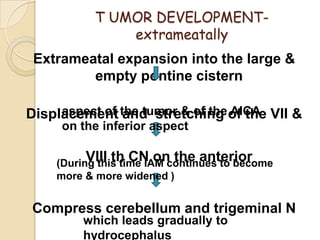 T UMOR DEVELOPMENT-
extrameatally
Extrameatal expansion into the large &
empty pontine cistern
Displacement and stretching of the VII &
VIII th CN on the anterior
Compress cerebellum and trigeminal N
aspect of the tumor & of the AICA
on the inferior aspect
(During this time IAM continues to become
more & more widened )
which leads gradually to
hydrocephalus
 