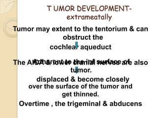 T UMOR DEVELOPMENT-
extrameatally
Tumor may extent to the tentorium & can
obstruct the
cochlear aqueduct
The AICA & lower cranial nerves are also
displaced & become closely
Overtime , the trigeminal & abducens
Adherent to the inf surface of
tumor.
over the surface of the tumor and
get thinned.
 