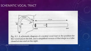 SCHEMATIC VOCAL TRACT
NOTES CAN BE FOUND AT SLIDESHARE.COM/JUNAIDAMJED 11
 